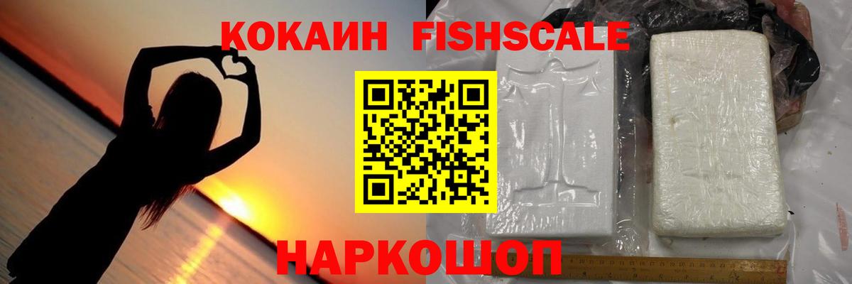 магазин продажи   COCAIN Fish Scale  Вход с VPN  COCAIN Fish Scale  Щёкино 