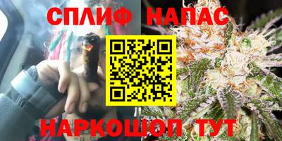 молекула духа Коммунар